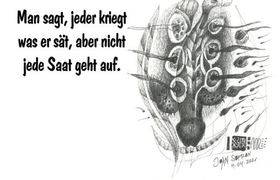 Motiv 29